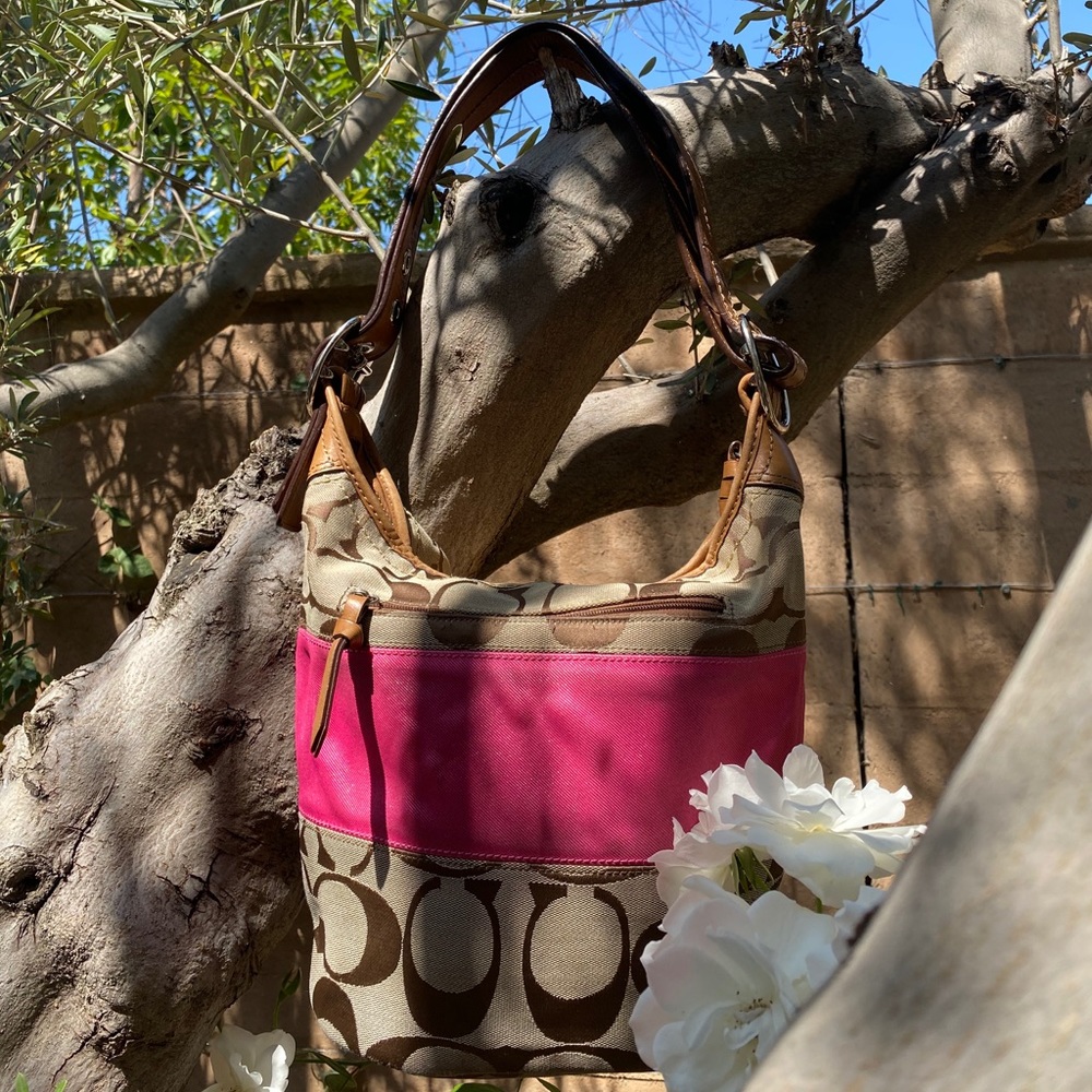 Coach bag in brown and tan